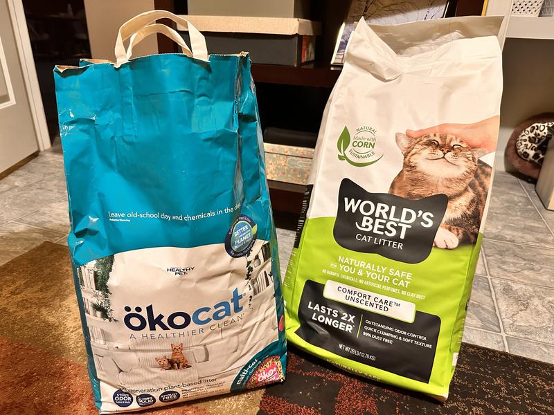 OkoCat vs World’s Best