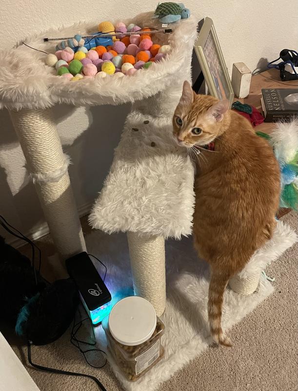 What are you looking at? They’re mine all mine!