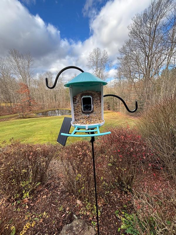 Our latest feeder, another Birdfy!