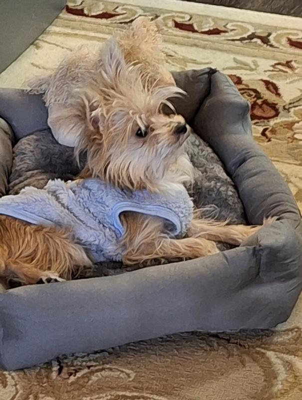 Happiest fur baby💕