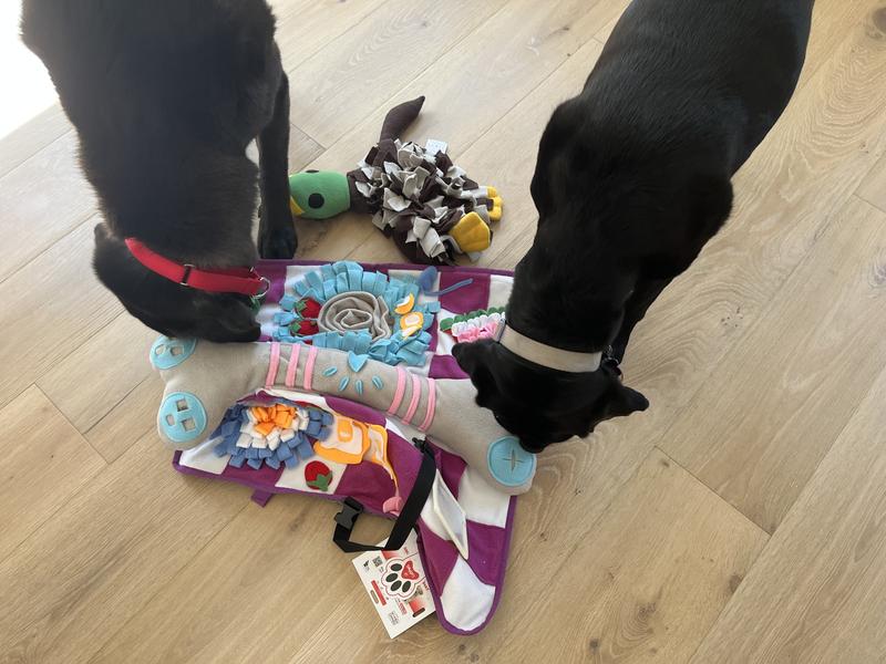 Both of my dogs loved this thing!