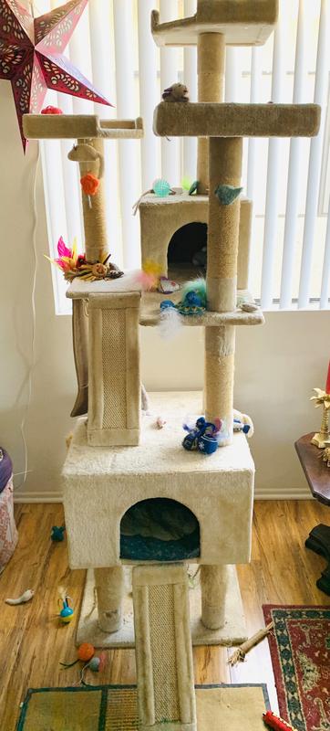 Chewy 72 outlet inch cat tree