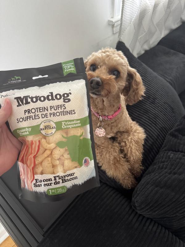 She was immediately interested in the smell of the bag!