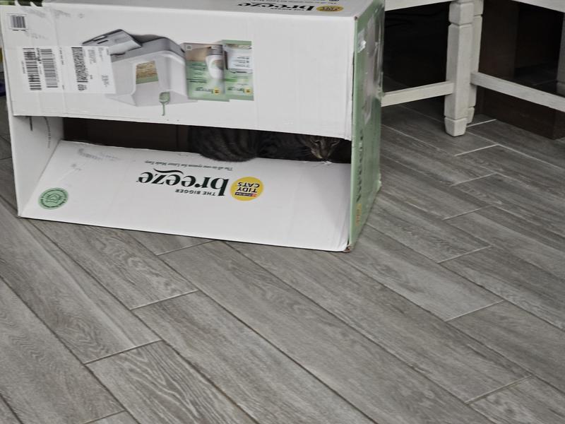 They're quite fond of the box at least