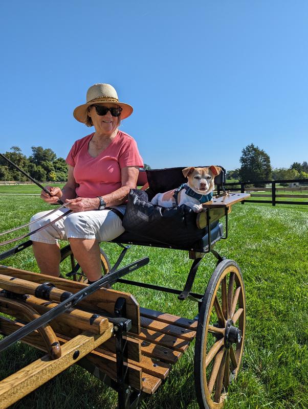 Cruising in style & comfort