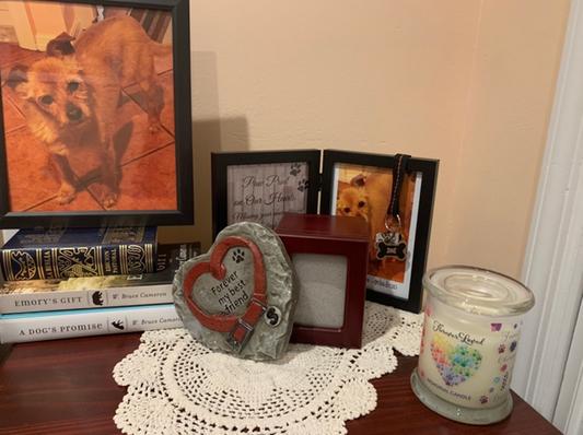 Missing the small pic of my baby Starr