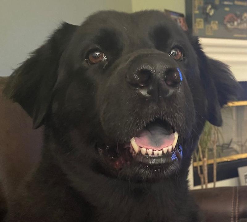 That's Our Max!