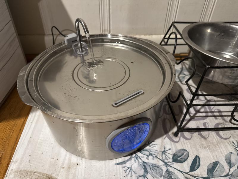 Working well keeping my 2 pups hydrated.