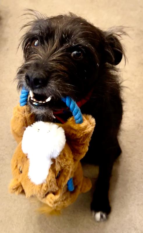 I like the carry handle, too!