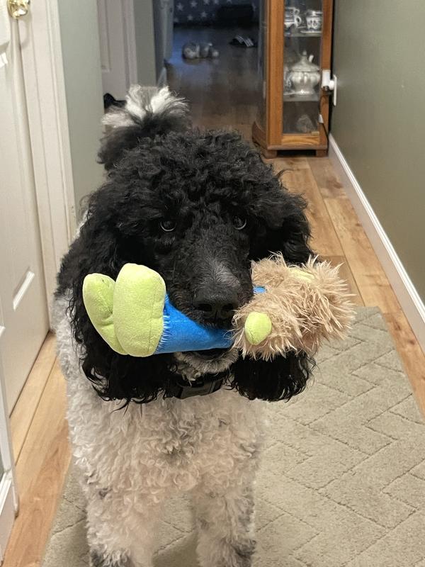 Good for bigger dogs with large teeth.  (But not for dogs who will be strong chewers, as they are fabric and can be destroyed). Soft but stronger outer fabric that feels like it should withstand big dog teeth (not chewing).