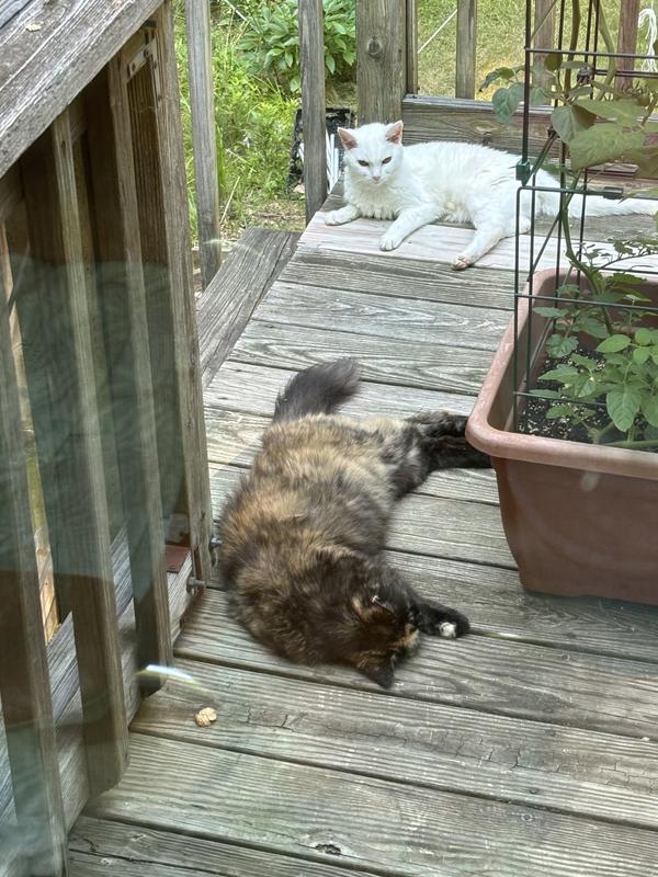 Trying to get some relief from the hot, humid summers we’ve had in northwestern RI.