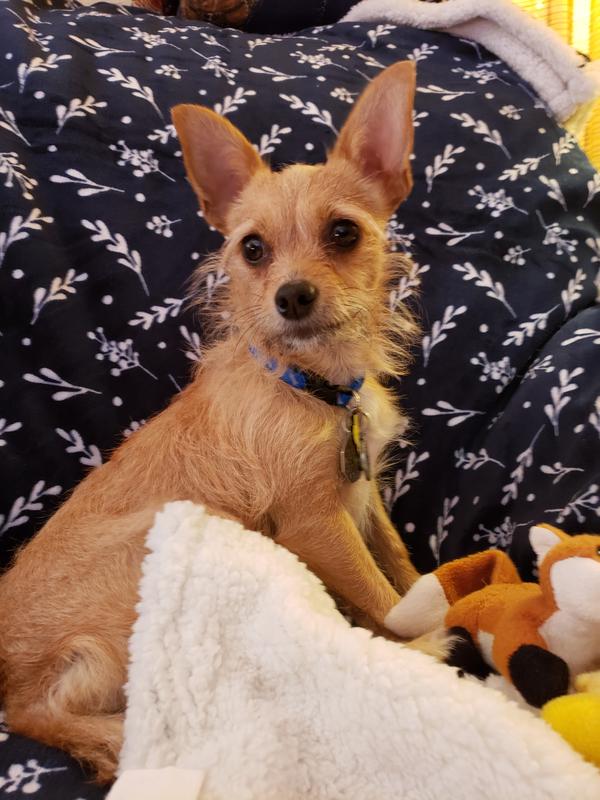 Is it dinner yet?  She has a good appetite and lets me know when it's time to eat  :)