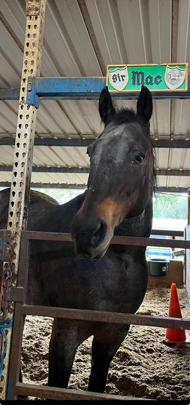 They’ve helped my feet a lot. My n D