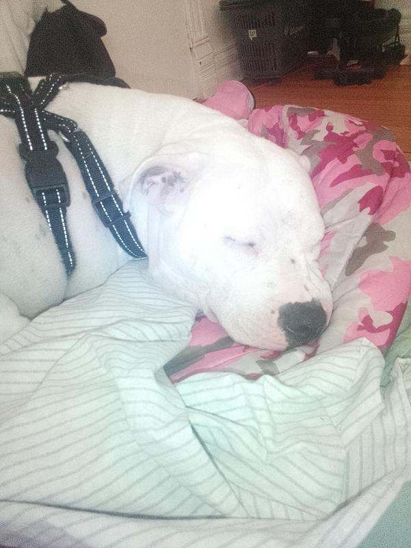 Wish I bought it sooner! $