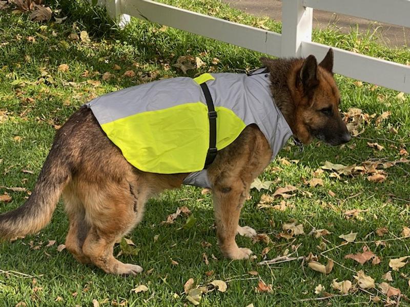 Frisco Reflective Dog Safety Vest