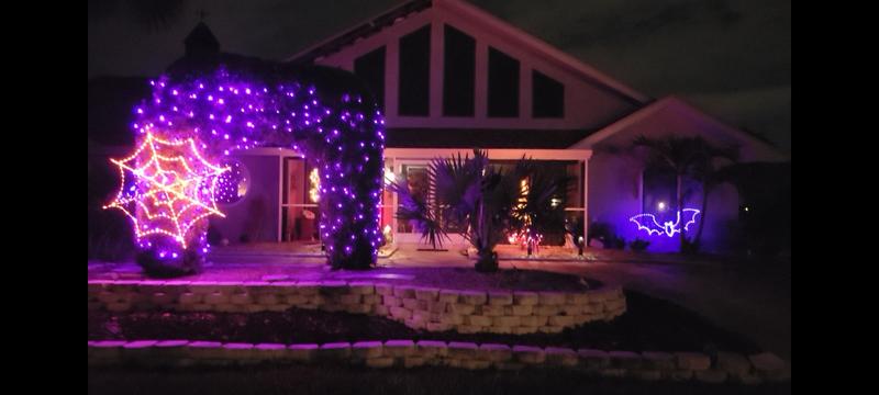 Photo from Bunky Sunshine
