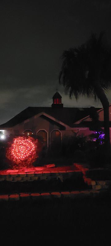 Photo from Bunky Sunshine