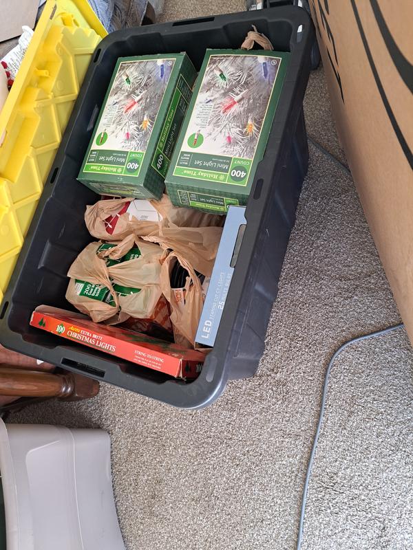 My full tote of lights!