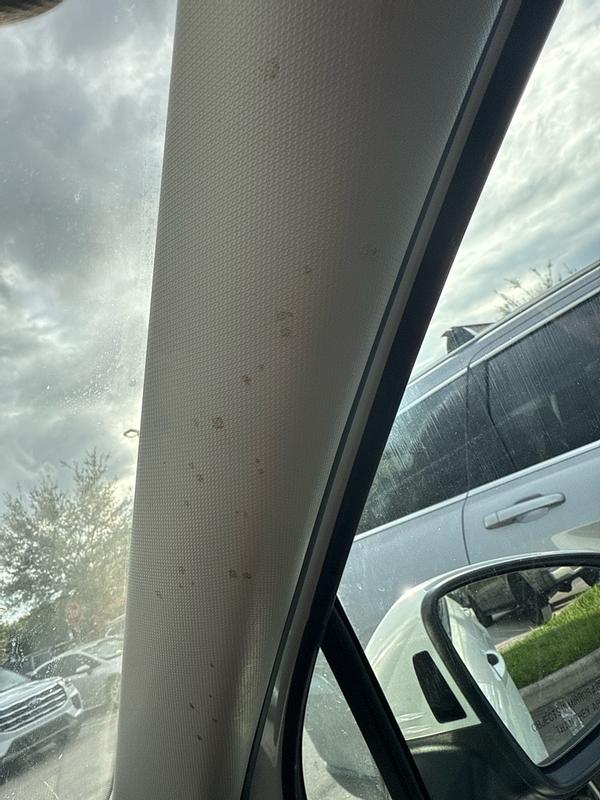 Photo - commentaire 3.