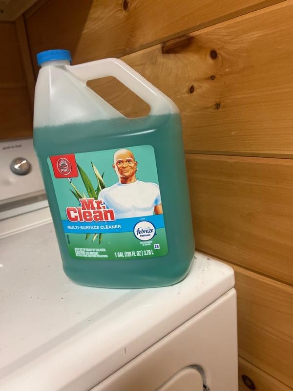 Mr. Clean Home Pro Multi-Purpose Cleaner with Febreze - Meadows & Rain - 1 gal