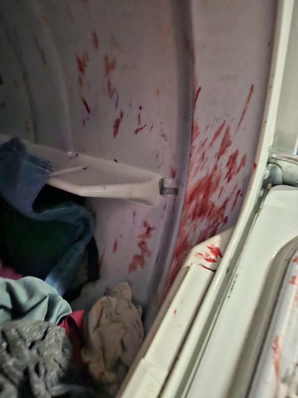 Photo - commentaire 5.