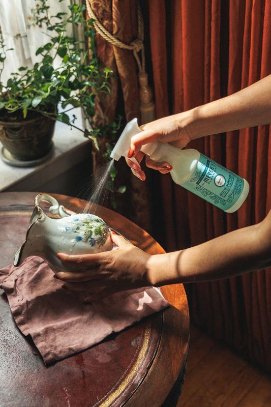 Mrs. Meyer's Mint Multi-Surface Everyday Cleaner – Mrs. Meyer's