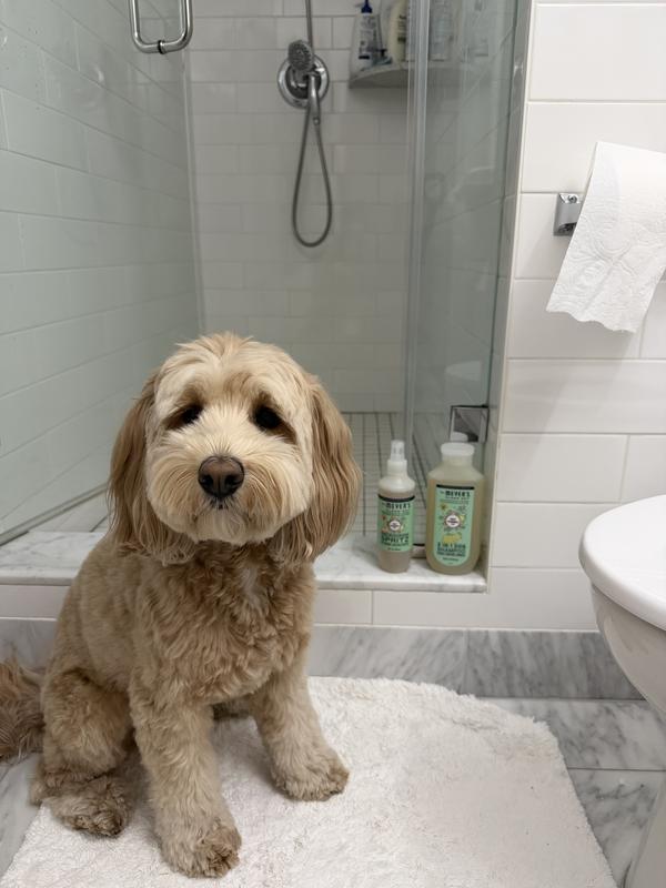 Sweet Chamomile Dog Deodorizing Spritz – Mrs. Meyer's Clean Day