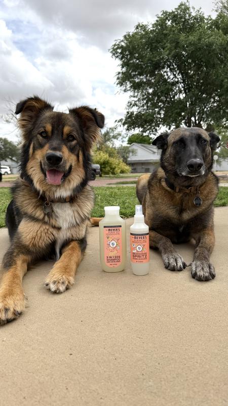 White Peach Dog Deodorizing Spritz – Mrs. Meyer's Clean Day