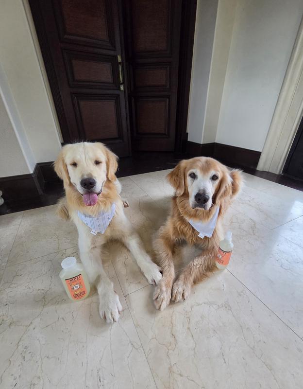 White Peach Dog Deodorizing Spritz – Mrs. Meyer's Clean Day