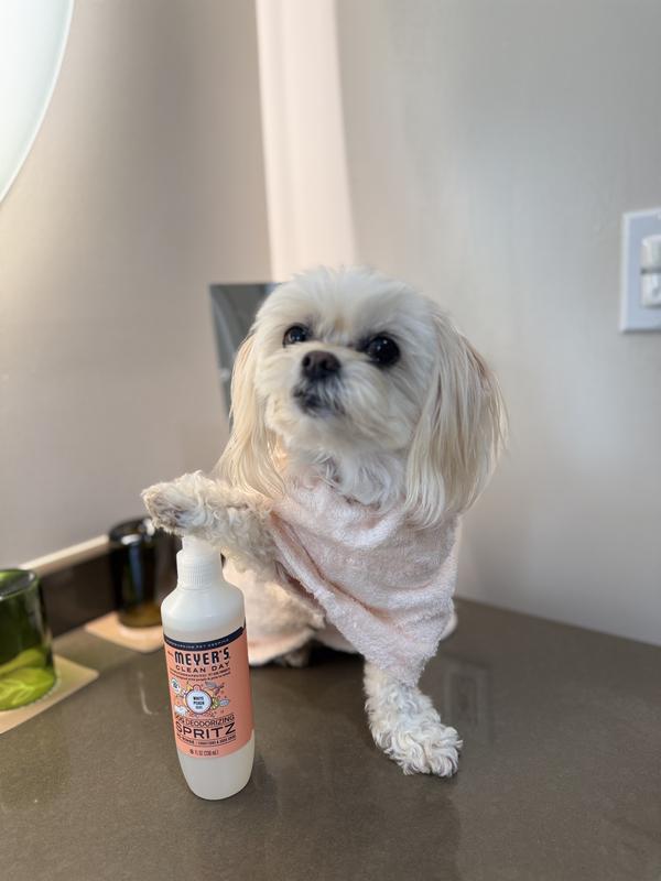 White Peach Dog Deodorizing Spritz – Mrs. Meyer's Clean Day