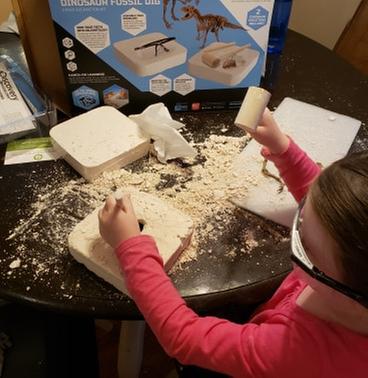 Digging for dino bones!