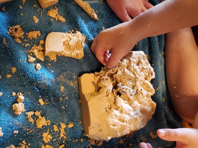 Careful removal of bone