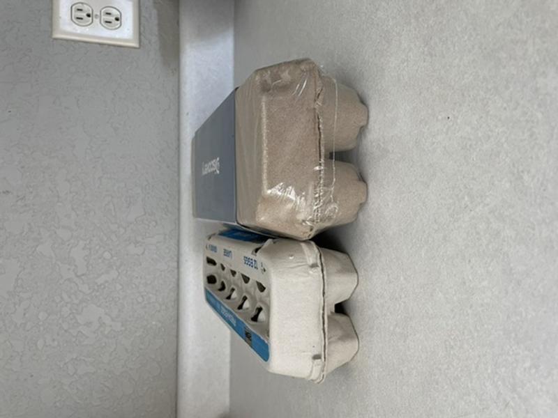 Over double the size of regular eggs!