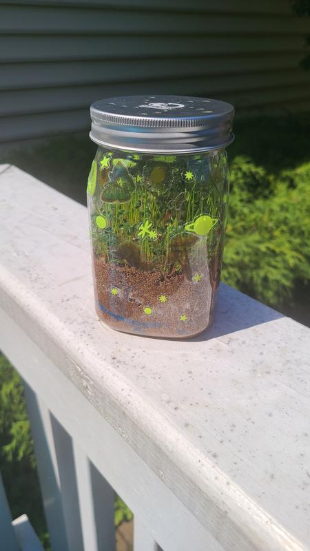 Day 5 - full of grass!