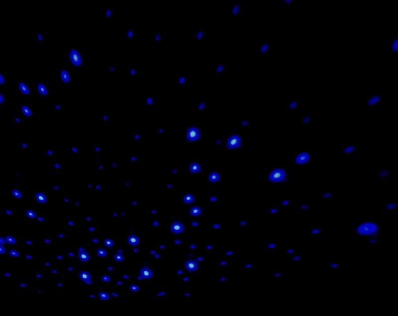 Star image