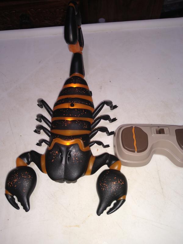 Scorpion