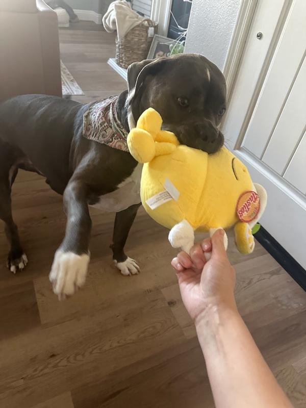 Customer carousel item 6.