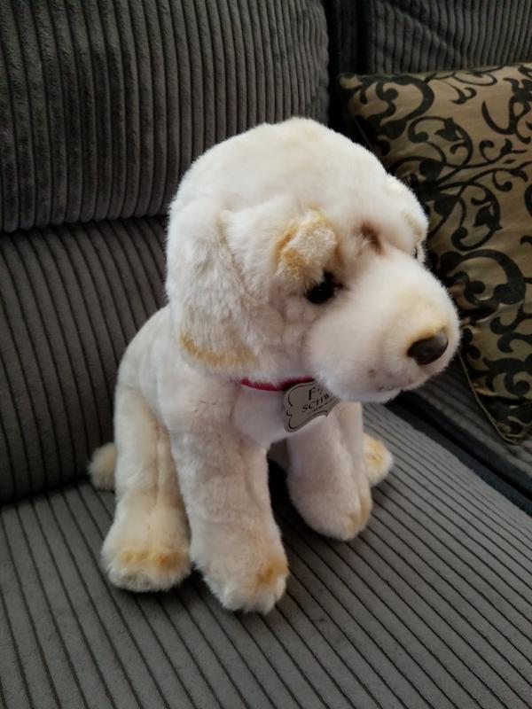 Fao schwarz labrador online