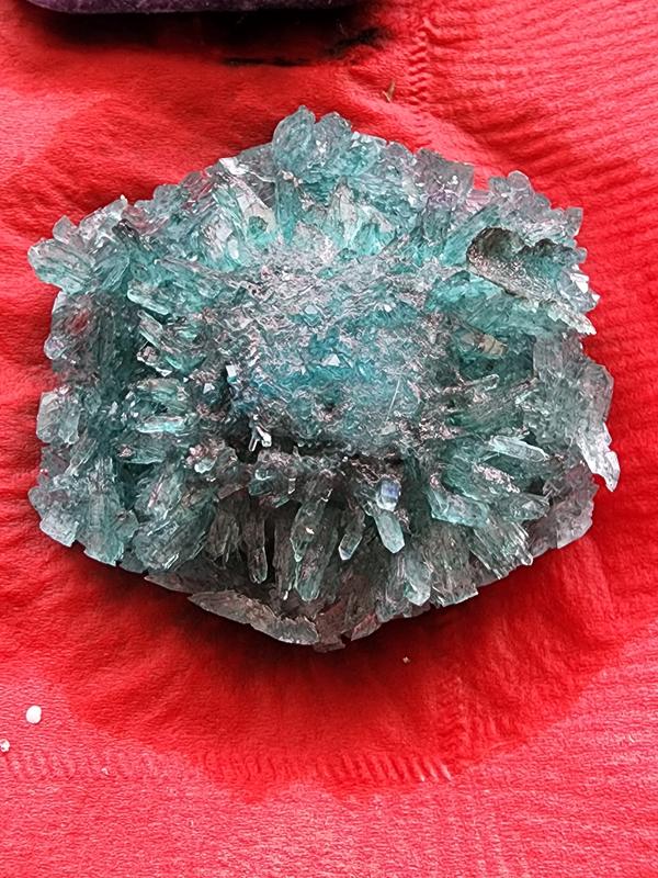 Brilliant colors Discovery