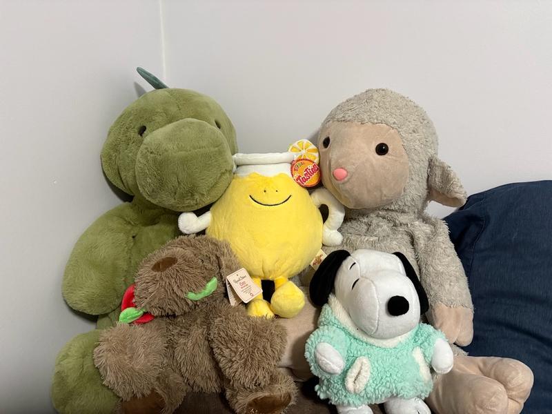 Customer carousel item 3.