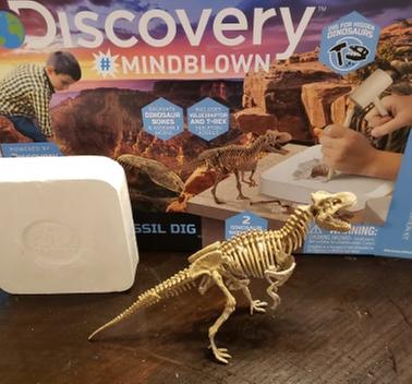 Details about   Dig and discover Dinosaur Skeleton Tyrannosaurus Trex .Excavation kit .it is fun 