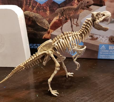 Model all snapped together