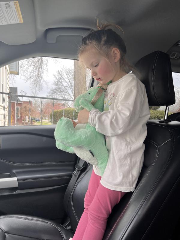 He goes everywhere with us!