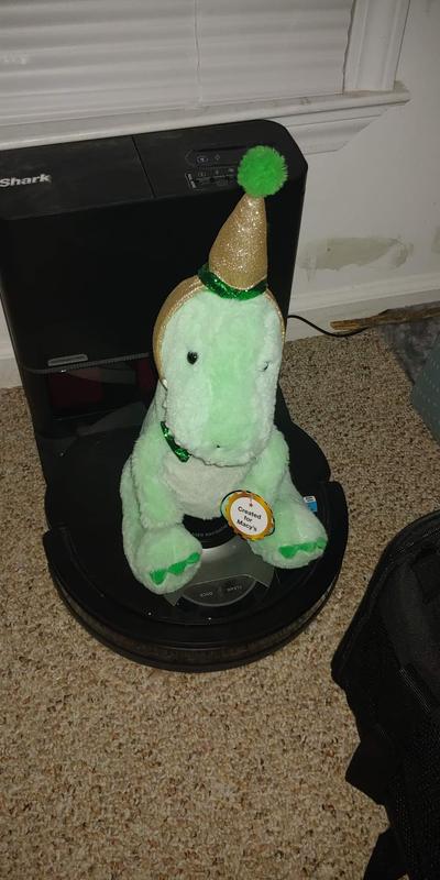 Going to help vacuum