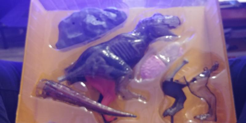 It's see through so you can see his insides!!