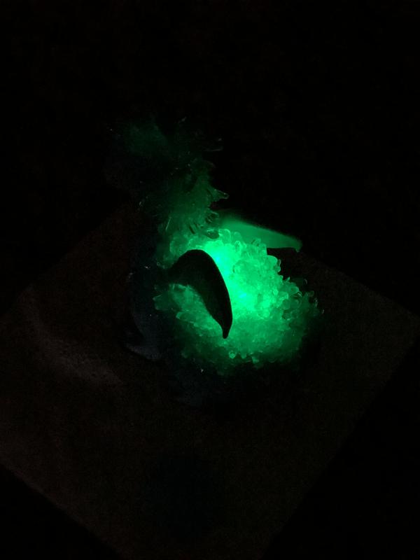Glows in the dark/ different colors
