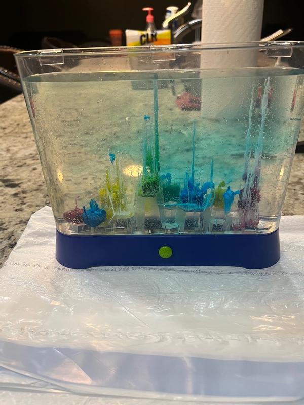 Customer carousel item 13.