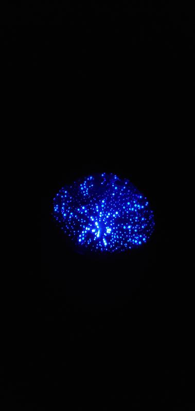 Star Mode - Lights from Projector