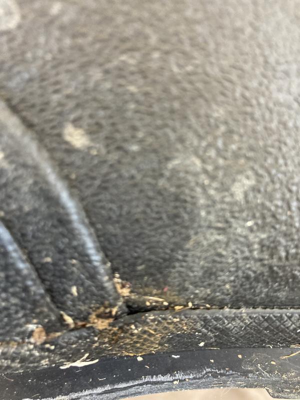 Photo submitted with review of product