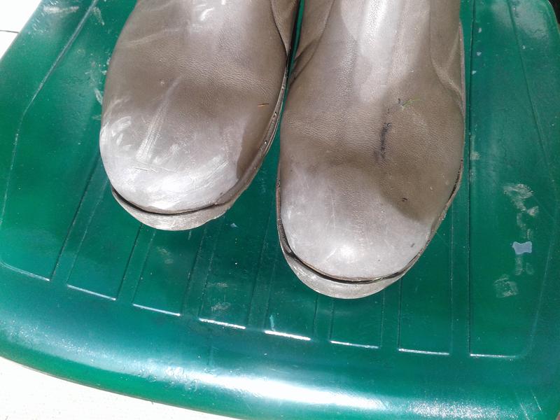 Photo submitted with review of product